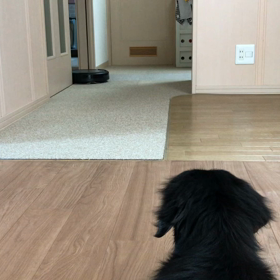 動画投稿挑戦の画像