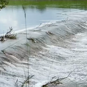 “自然と音遊び” プロジェクト vol.047！の画像