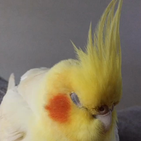 指まくら♡ギョリギョリTIME‼︎の画像