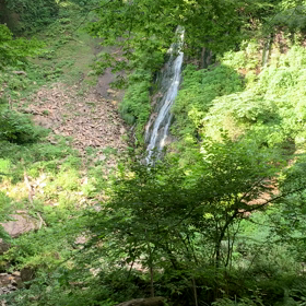 8/8(火)〜の予約状況の画像