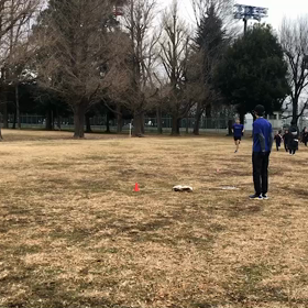 航空公園1000m１組目 ②の画像