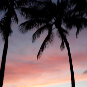 ハワイ☆夕方の散歩の画像