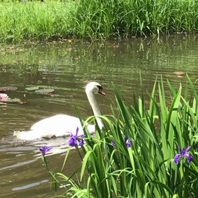 カルマのほんとの意味を知って楽しくバージョンアップ❣️の画像