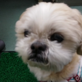 たまにはの画像