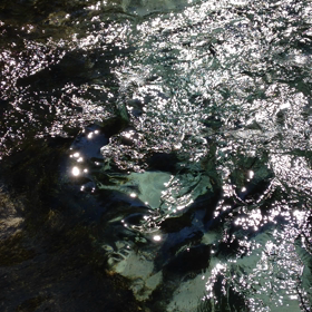 誰かの癒しになれば♡の画像