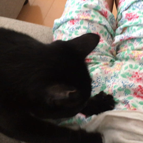 人肌恋しい時期の画像