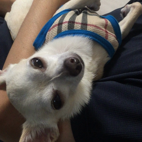 陸の寝落ちの画像