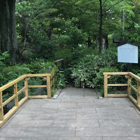 朝散歩・その2の画像