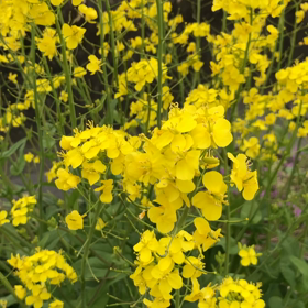 一番安かった自転車保険料♡の画像