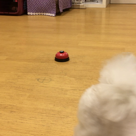 モコ編。の画像