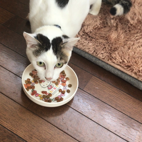 三咲さんの画像