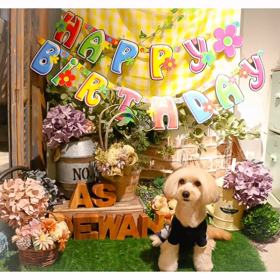 Happy 7th Birthday, KIWI !!の画像