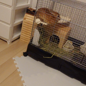 体重61キロの画像