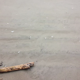 昼休みビーチコ×暴風×波の花の画像