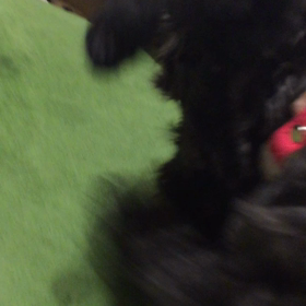 【真夜中】更新♪加速ホリホリの画像