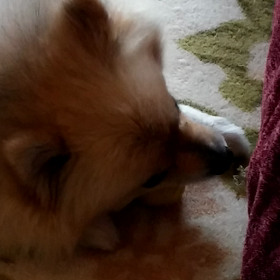 歯　折れないかなぁ？の画像