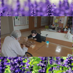 お手合わせの画像