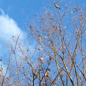 幸せだな〜〜の画像