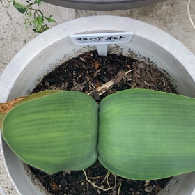 介護記録１７７（お世話になります）の画像