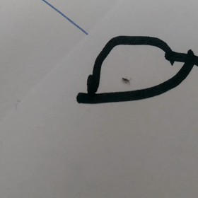 乗り越えなくていい のかも？！の画像