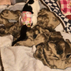 近いですよ〜&脱皮もう一枚の画像