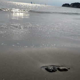 ☆海辺…☆の画像