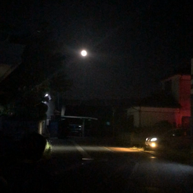 お月見散歩の画像