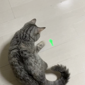 いつ言うか？いまでの画像