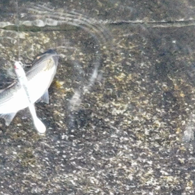 気分転換！☆の画像