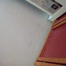 猫カフェ動画の画像