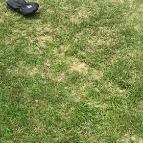 昨日の練習の画像