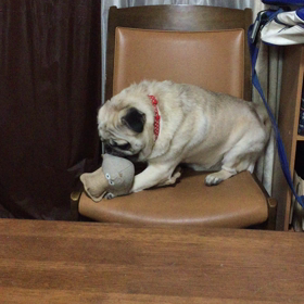 三男の逆襲！の画像