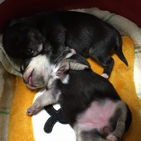 寝姿動画の画像