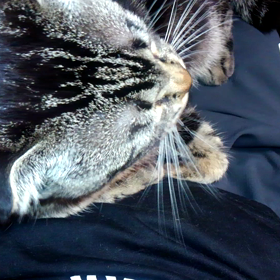 吸ってるつもりの画像