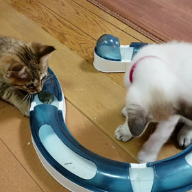 やべっ！見られちゃった‼️の画像