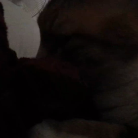 寝るとき。の画像