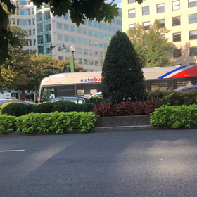 地球温暖化デモの画像