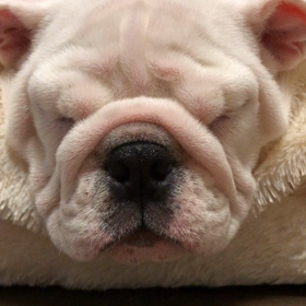 おやすみ…の画像