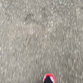 今日も歩いた歩いたの画像