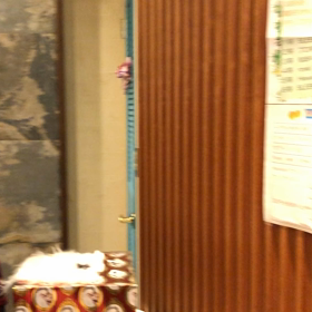 sleek宝くじ当選者発表の画像