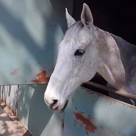 今日ものんびりの画像