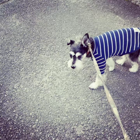 気づかないぼくの画像