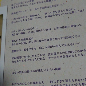 セミのなく頃にの画像