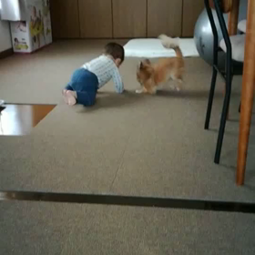 番外編(^^)むぎとOーちゃん❤️の画像