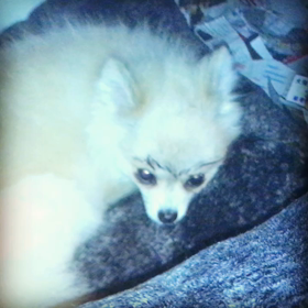 産まれそう。の画像