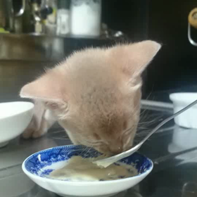 サボってる間に…の画像