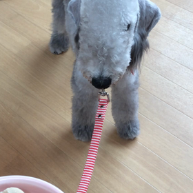 ▶︎ご飯の前のお約束の画像