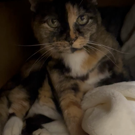 今の幸せの画像