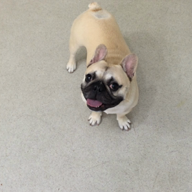 ♪プレイルーム動画♪②の画像