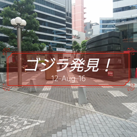 ゴジラ発見！の画像